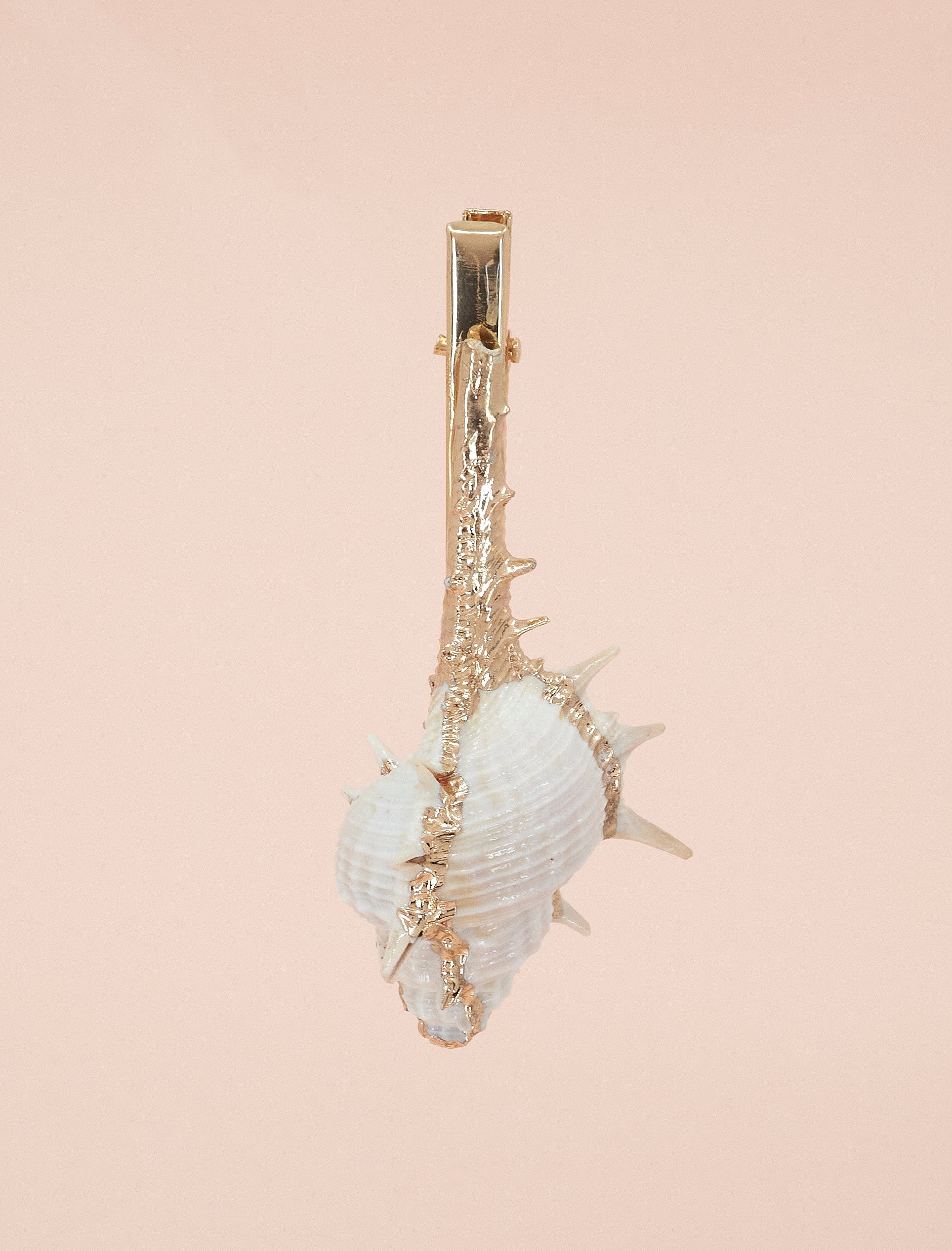 PASADOR CARACOLA DE MAR