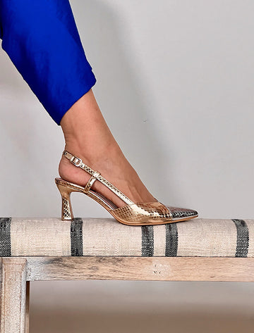 Salón espectacular champagne