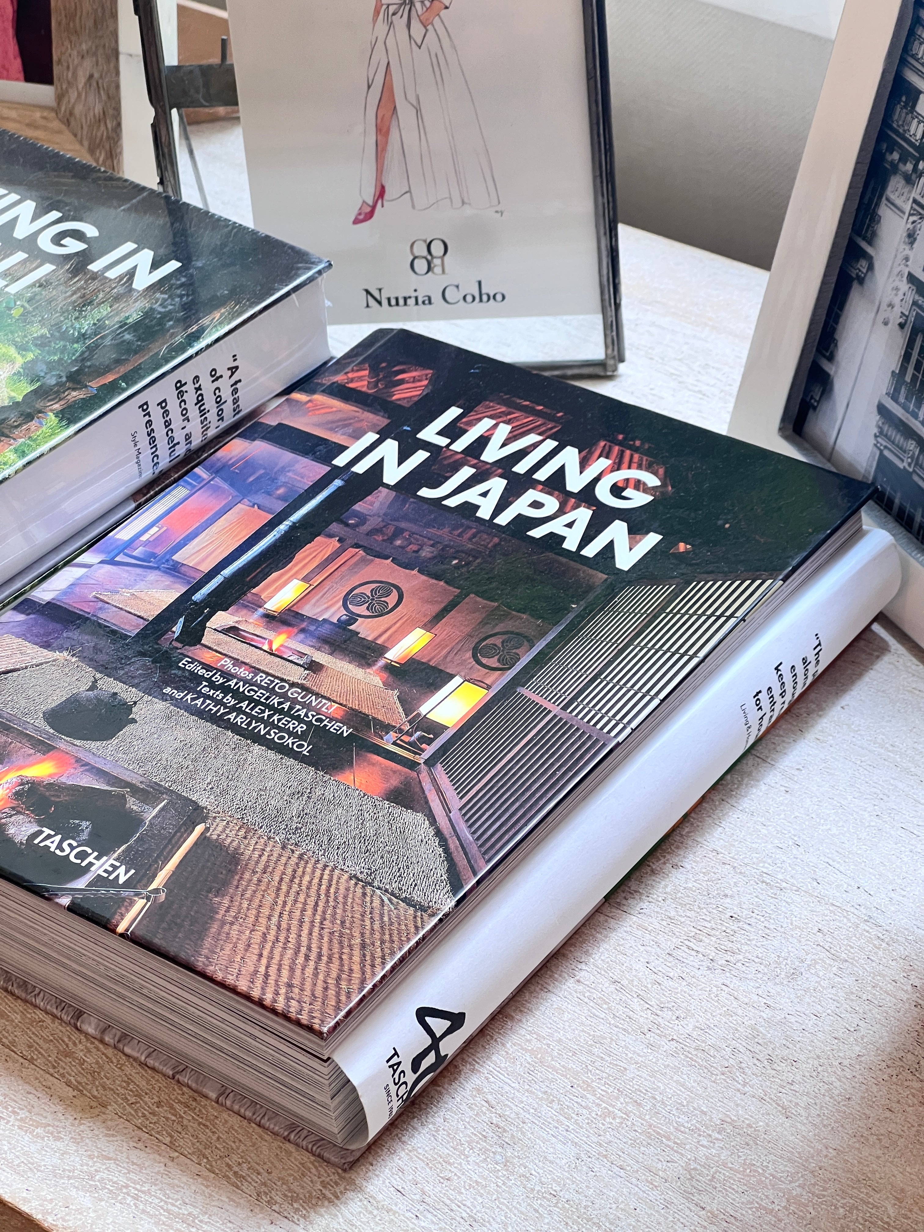 THE HOUSES OF CAYETANA, DUCHESS OF ALBA