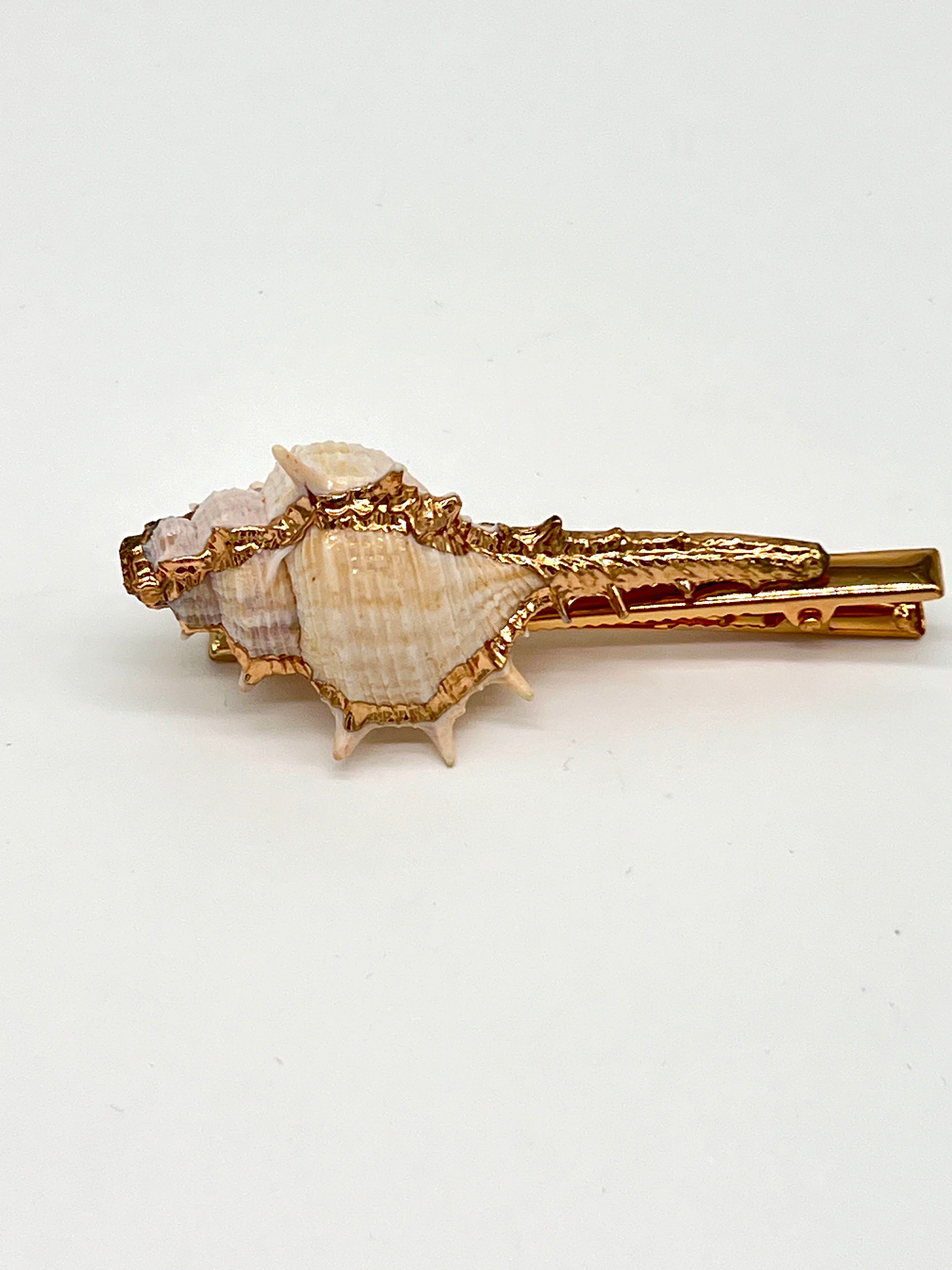 PASADOR CARACOLA DE MAR