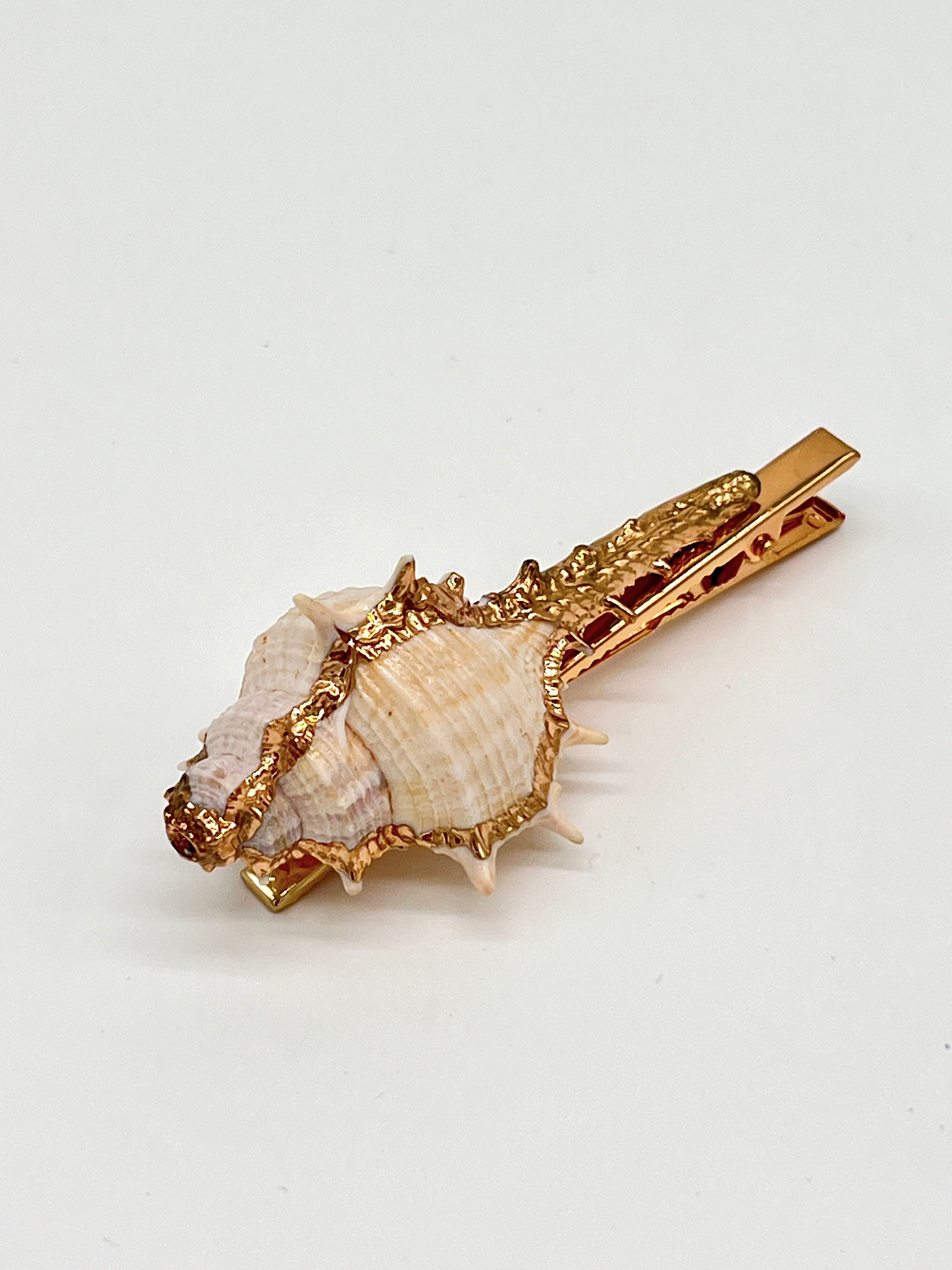 PASADOR CARACOLA DE MAR