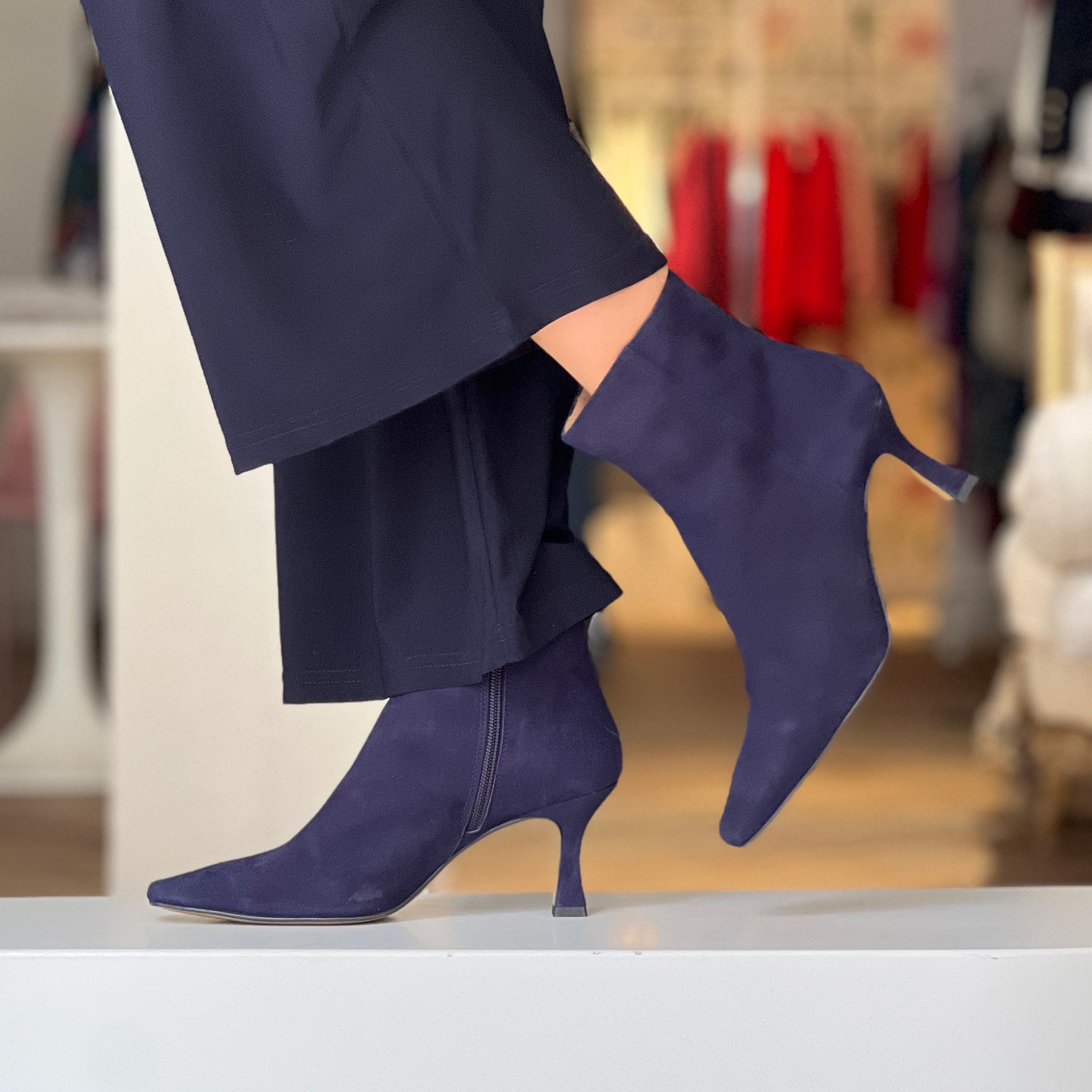 Botín marino Estrella oceano