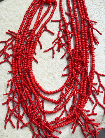 Collar coral