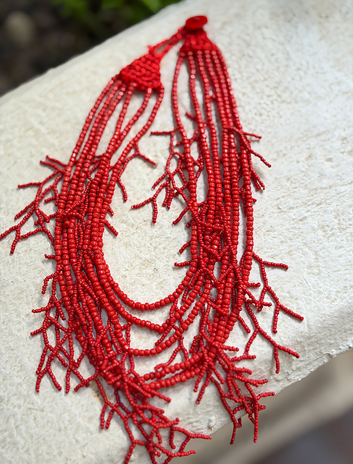 Collar coral