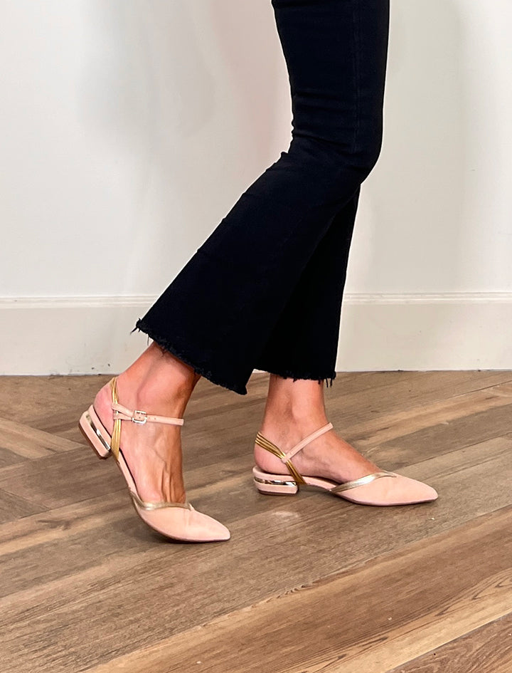 Paulita camel