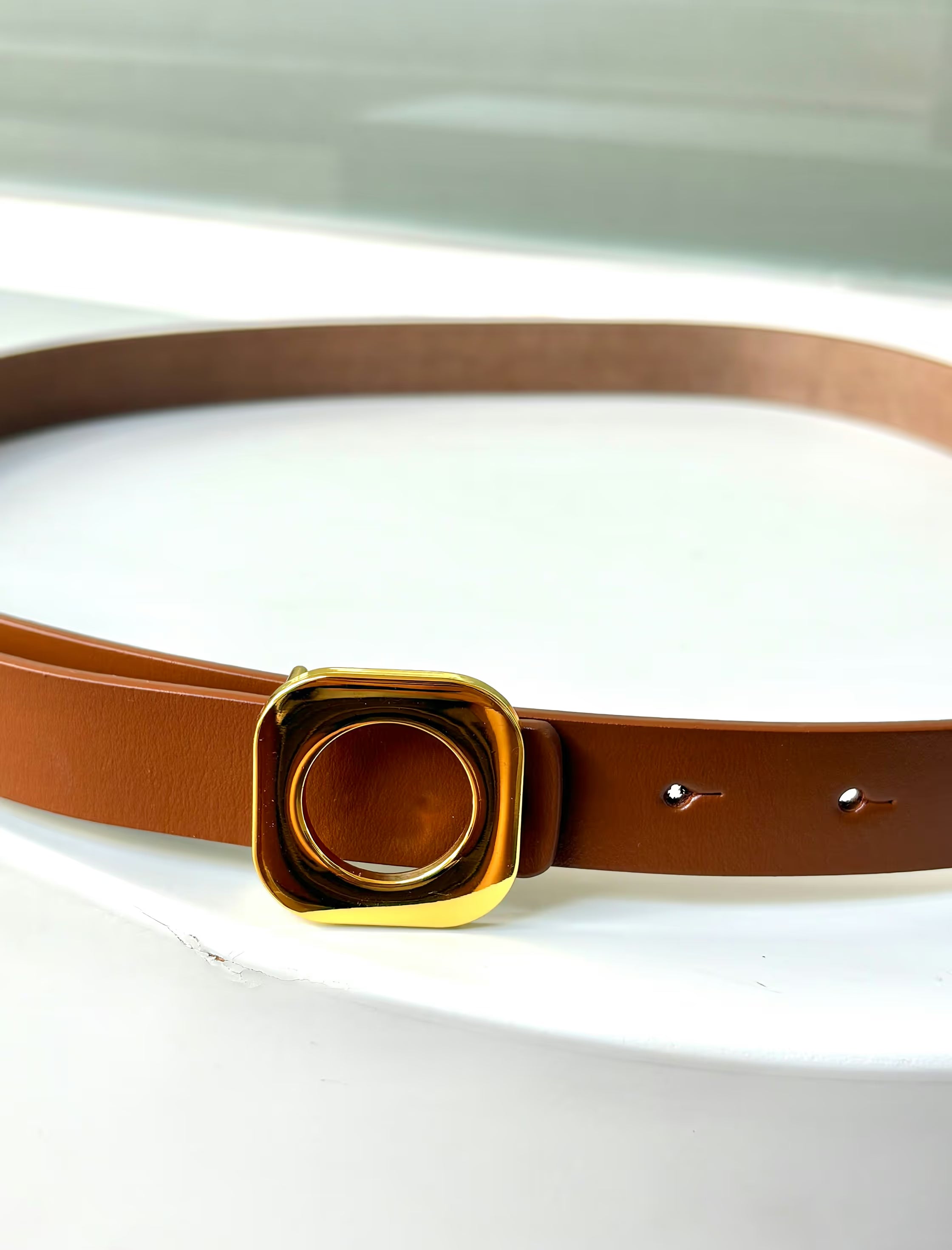 Brown Closet Bottom Belt