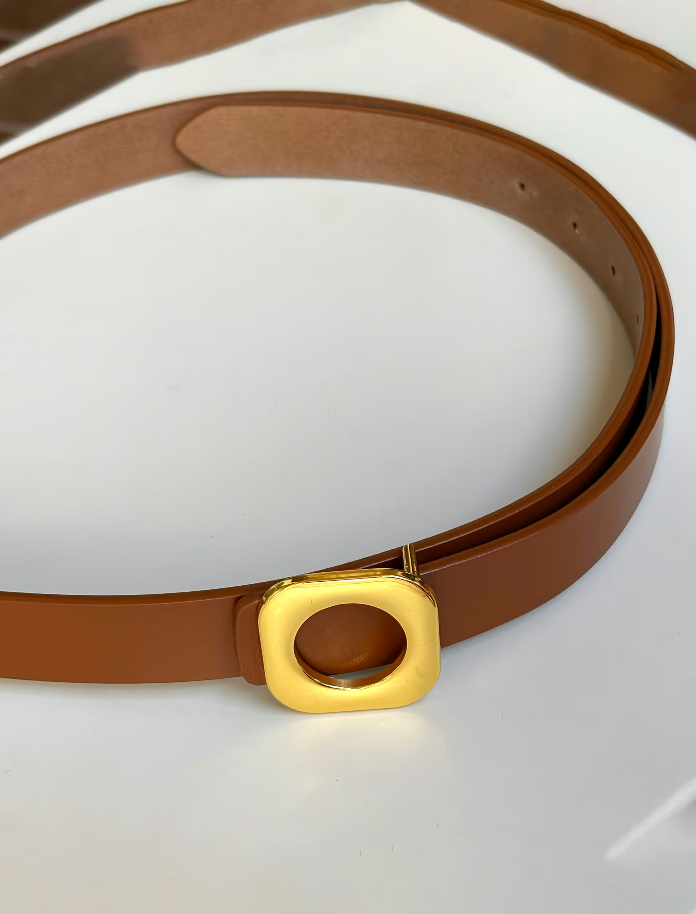 Brown Closet Bottom Belt