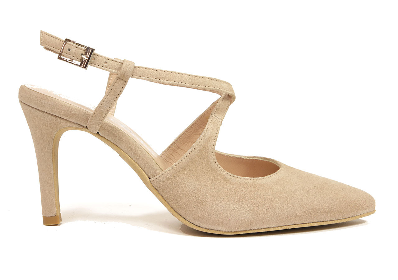 Bárbara camel