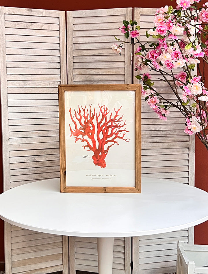 CUADRO CORAL AMANECE