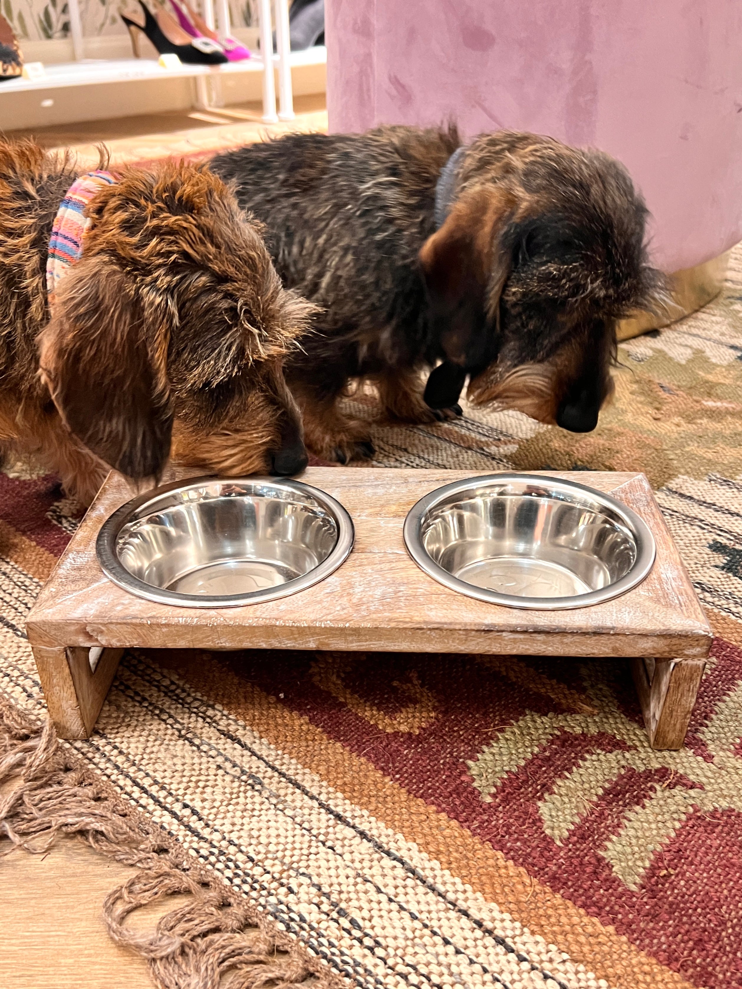 PEPE AND CLOE FEEDER
